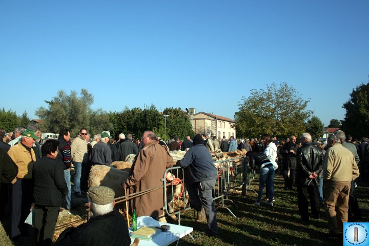 Fiera del lunedì (439).JPG